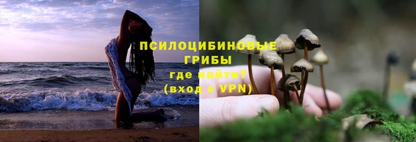 винт Армянск